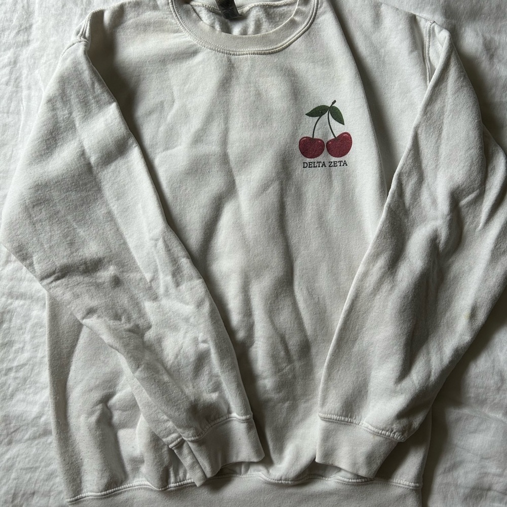 Delta zeta sweatshirt